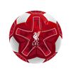 2022 Team Merchandise 4inch Miniball (Liverpool)