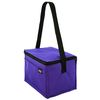 Ensign Peak Basic 6-can Insulated Cooler (Purple)