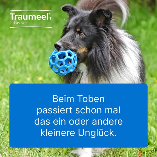 Traumeel T ad us. Vet. 100 tablets, Tablets