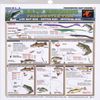 Fishermans - Freshwater Bait Rigging #1