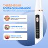 Dental Tartar Scaler Tooth Scraper Endodontic Teeth Plaque Calculus Remover Tool