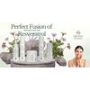 Resveratrol Vegan C Revival Serum