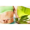 Slimming Green Tea - Green Tea Extract 300mg - Herbal Capsules - 2B