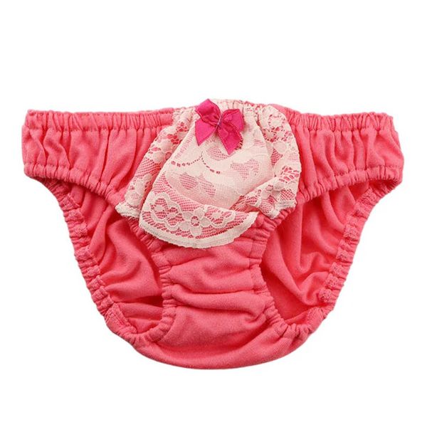 LP113077 Cotton Fabric Lace Front Elastic Pants, Full Back, Made in Japan, La-Pomme, Small and Cute, Low Rise Panties, Scanty, Pink