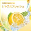 gure-dojerusitorasuhuressyu Set of 5