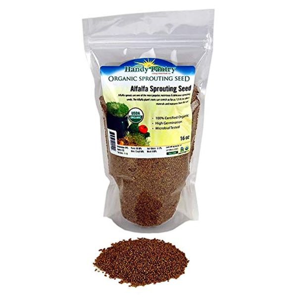 Certified Organic Alfalfa Sprouting / Sprout Seeds - Seed For Sprouts - 16 Oz