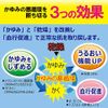 [2nd Class OTC Drug] Omi Brothers Menturm EX Lotion 100mL