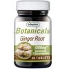 Lifeplan Ginger Root 1000mg 90 Tablets (Pack of 3)