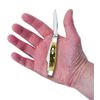 Case Medium Amberbone CV Stockman Pocket Knife, Chrome