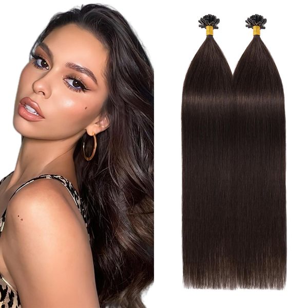 Silk-co U Tip Human Hair Extensions Pre Bonded Keratin Nail Tip 22"-100g 100S Strands #02 Dark Brown Invisible Remy Real Fusion Extension Long Straight