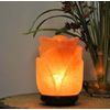 Himalayan Salt Rose Flower Shape Lamp, Salt Ionizer, Dimmer Switch, Decor, 8"