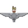 PARACHUTE REGIMENT PARAS CAP BADGE - REAR WINDOW CAR STICKER