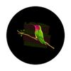 Humming Bird Hummingbird Art Gift PopSockets Swappable PopGrip