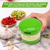 Mini Garlic & Ginger Press with Clear Tray - Kitchen Chopper, Crusher, Dicer Tool, Green