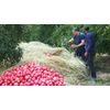 Best Selection (Sidr Honey &amp; Premium Pomegranate Paste)