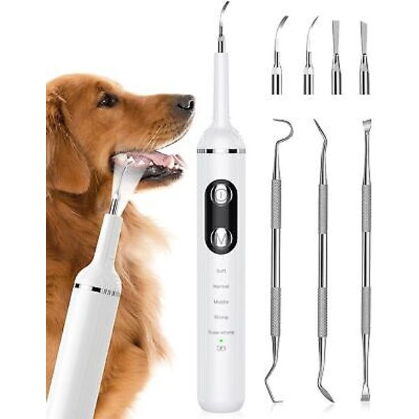 Plaque Remover for Teeth Pet Tooth Brushing Kit Dental Tools to Remove Plaque