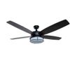 BLUE MOUNTAIN Palisade 52" LED Ceiling Fan, Matte Black, Light Kit & Remote