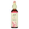 Bach Original Flower Remedies, Elm - Be Efficient - Natural Homeopathic Flower Essence for Emotional Balance - Vegan, Gluten Free, Sugar Free - 20mL Dropper