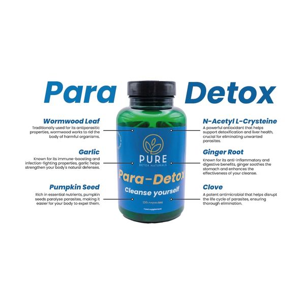 para-Detox – Natural Parasite Cleanse | Powerful Blend with NAC, Ginger Root, Clove, Wormwood, Garlic & Pumpkin Seed | Made in The UK | All-Natural, Gut Health