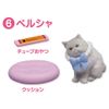 ania ania friends cat