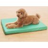 Pressure Sores Proof, Waterproof Mattress [Green] Medium