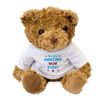 THE MOST AMAZING MUM EVER - Teddy Bear - Cute Soft Cuddly - Gift Present