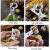 2Pcs Quail Egg Roast egg scissors Cutter Scissors Kitchen Egg Shears Tool(Green)