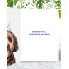Son Cockapoo Birthday Card - Superhero Cute Dog Design - A5 Size with Envelope