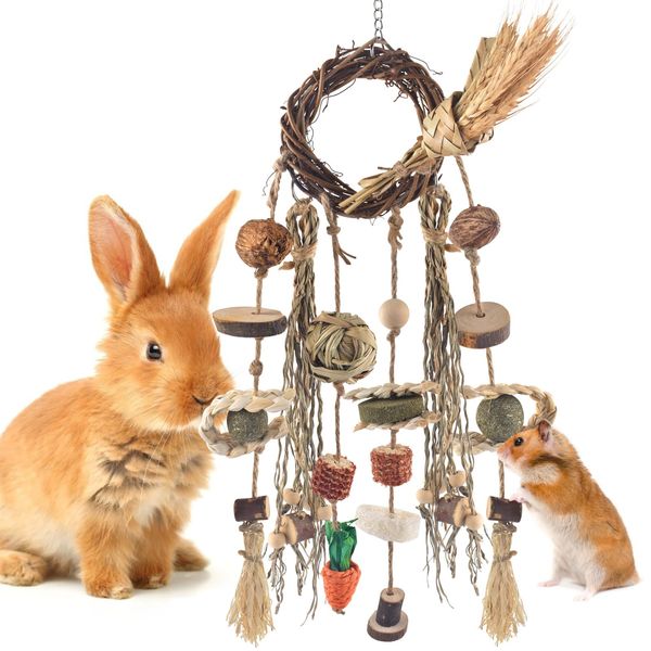 Bissap Bunny Chew Toy, Rabbits Cage Hanging Chew Toys and Treats Rattan Ring with Snacks Water Grass Wooden Block Carrot for Guinea Pigs Chinchillas Hamsters Rats and Other Small Pets Teeth Grinding