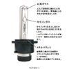 Customize D2C D2S 35W Replacement HID Bulbs, Set of 2, 4300K