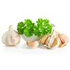 immune system - GARLIC AND PARSLEY (ODORLESS) 1B - aged garlic extract