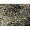 Marshmallow + Raspberry Leaf Organic Medicinal Healing Herbal Tea Mix 1 lb POUND