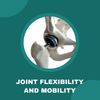 JOINT SUPPORT SUPPLEMENT - Collagen Supplement for Men & Women, flexibility help