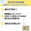 Apricity Craft Kit, Elementary School Student (Radio)