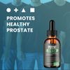 (5 Pack) Potent Stream Drops, Potent Stream Prostate Support Drops (60 ML)