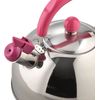 Candile Whistling Kettle 2.5