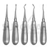 5 Pcs SPADE Concave Elevators Dental Surgical Instruments Stainless German Grade