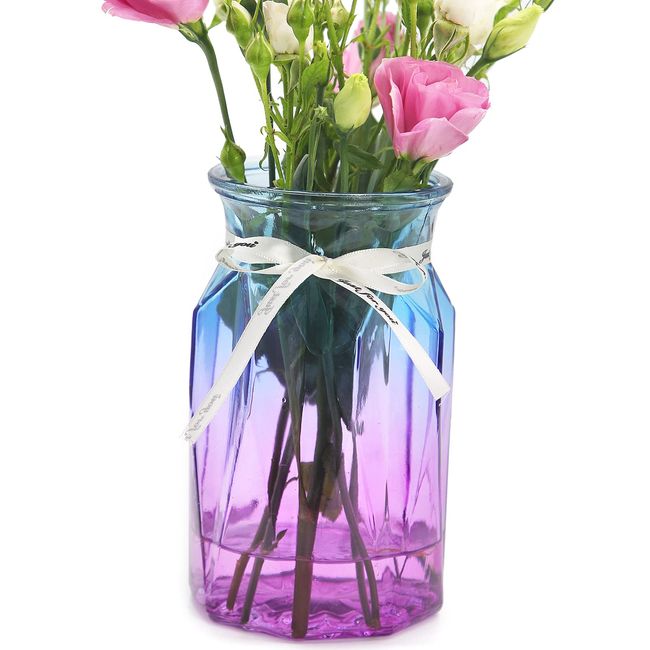 OFFIDIX Glass Vase, Flower Base, Stylish, Flower Vase, Hydroponics, Interior Decoration, Weddings, Events, Decoration, Arrangement, Flowers, Office, Home Decoration, Gradient, Scandinavian Style,