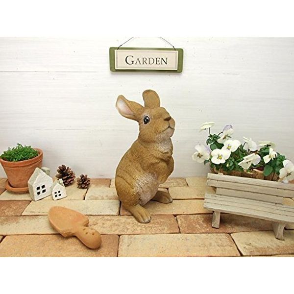 野川 Farms Rabbit N
