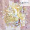Dewaxed Platina Shellac Flakes. (4 oz or 1/4 Lb.)