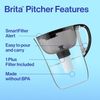 ™ Large 10 Cup Pitcher -  plus Filter, Everyday, Black