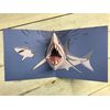 Shark POP-UP Card - Sea Creatures