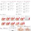 DINA Nail Tip, Light Beige, Simple, Elegant Pearl, Gel Nail