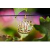 Windalf Ostgaard Jewellery Pendant 2.7 cm Viking Dragon Boat Bronze, Fabric jewellery bag