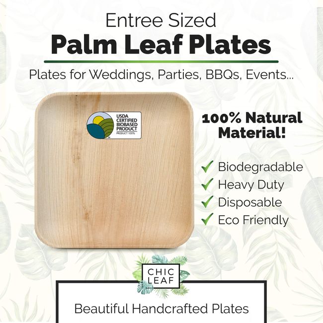 Biodegradable Disposable Plates - 100 pc. Square Compostable