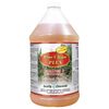 Quality Chemical Pine Clean Plus-1 gallon (128 oz.)