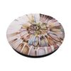 Watercolor Ammonite Nautilus Spiral Fossil Pop Mount Socket