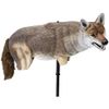 Lucky Duck Yote Coyote Decoy