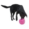 Buster Cube » Dog Toys » Soft Mini Cube » Red