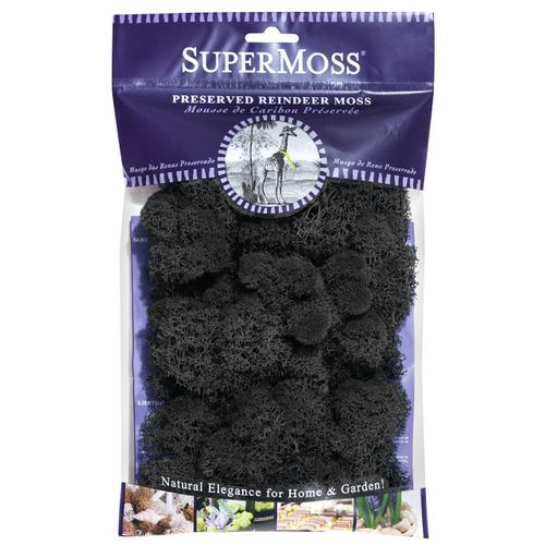 SuperMoss (25123 Reindeer Moss Preserved, Black, 2oz